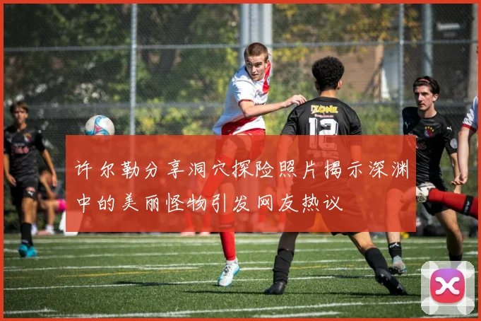 许尔勒分享洞穴探险照片揭示深渊中的美丽怪物引发网友热议